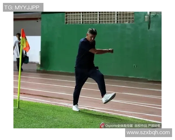 王伟专访揭秘网球成功秘诀与职业生涯背后的故事 王伟专访揭秘网球成功秘诀与职业生涯背后的故事