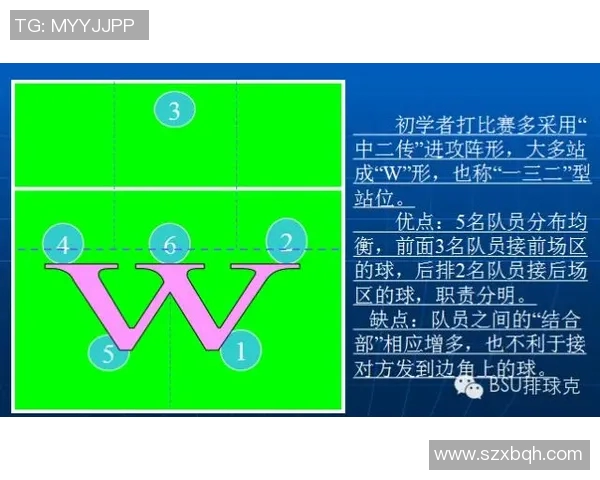 排球新手必看全面技术入门指南助你快速提升技能与战术理解 排球新手必看全面技术入门指南助你快速提升技能与战术理解