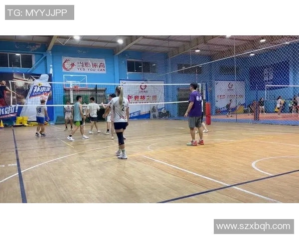 体育实时数据西安排球队的进攻策略揭秘：排球战术深度解析与实战应用